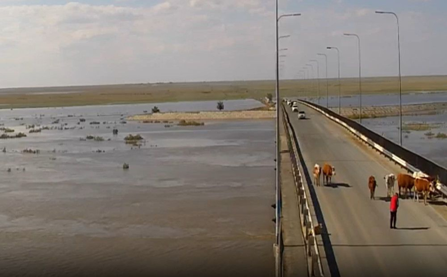 В двух районах области сохраняется критический уровень Жайыка