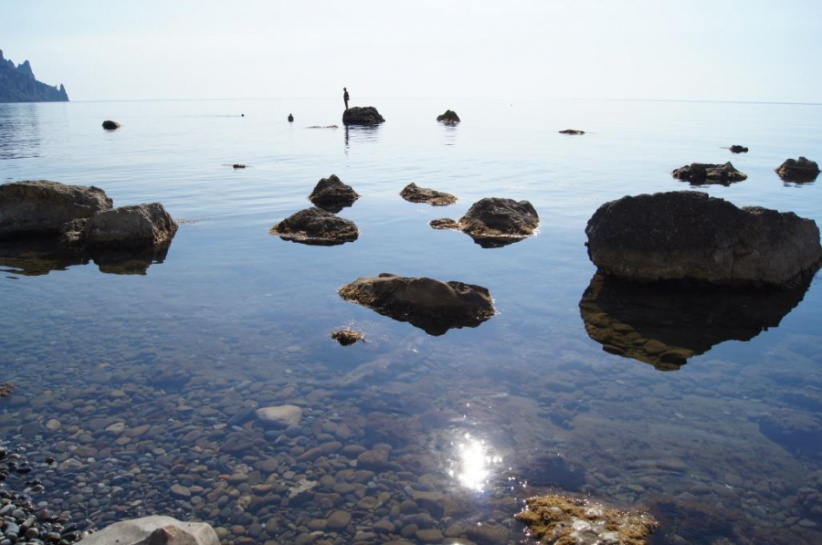В Германии из-за жары закрыли пляжи из-за токсичных водорослей