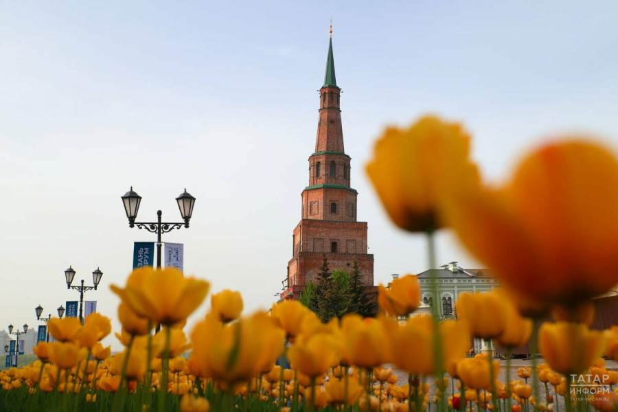 В Татарстане сегодня переменная облачность, без осадков, до +31 градуса