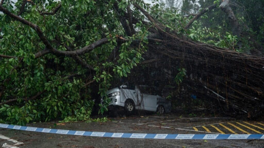 Тайфун «Випха» обрушился на юг Китая