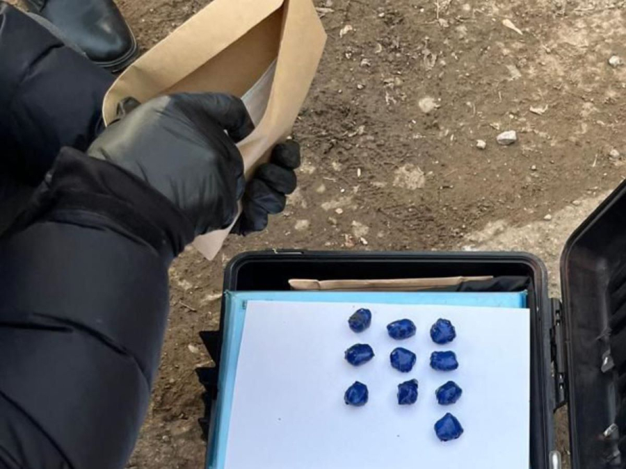 Мужчину с партией &laquo;волшебных грибов&raquo; задержали в Костанае