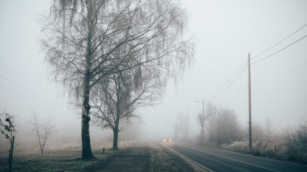 Ветер до 28 м/с, туманы и метель: почти во всех регионах Казахстана ожидается непогода