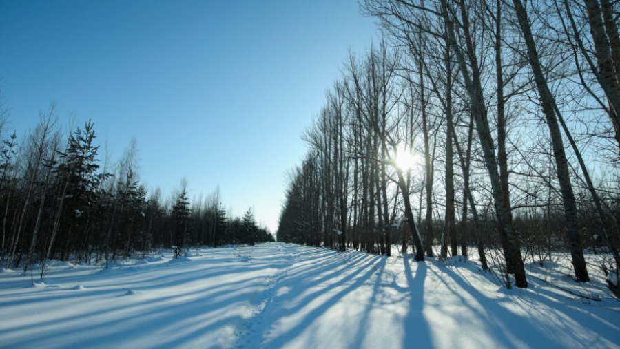 Тепло и без снега: какая погода ожидается в Татарстане в этот четверг &ndash; рассказываем 12/03/2026 &ndash; Новости