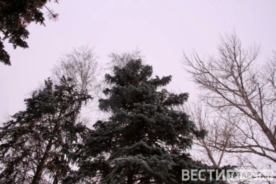 В Татарстане ожидаются снег, метель и до +3 градусов