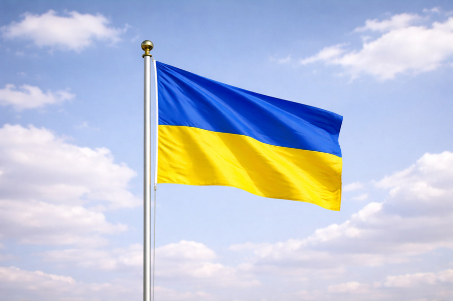 В Еврокомиссии заявили, что Украина сама определит сроки выборов