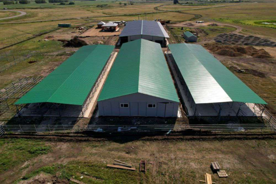 Сухое молоко отправится на экспорт