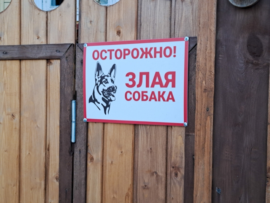 В Нижнекамске бультерьер напал на 12-летнюю девочку, возбуждено уголовное дело