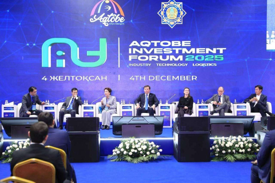 Новые проекты и возможности