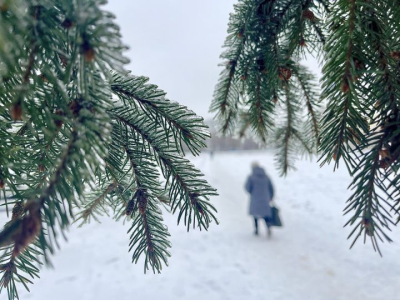 В Татарстане в ночь на среду ударят морозы до -26