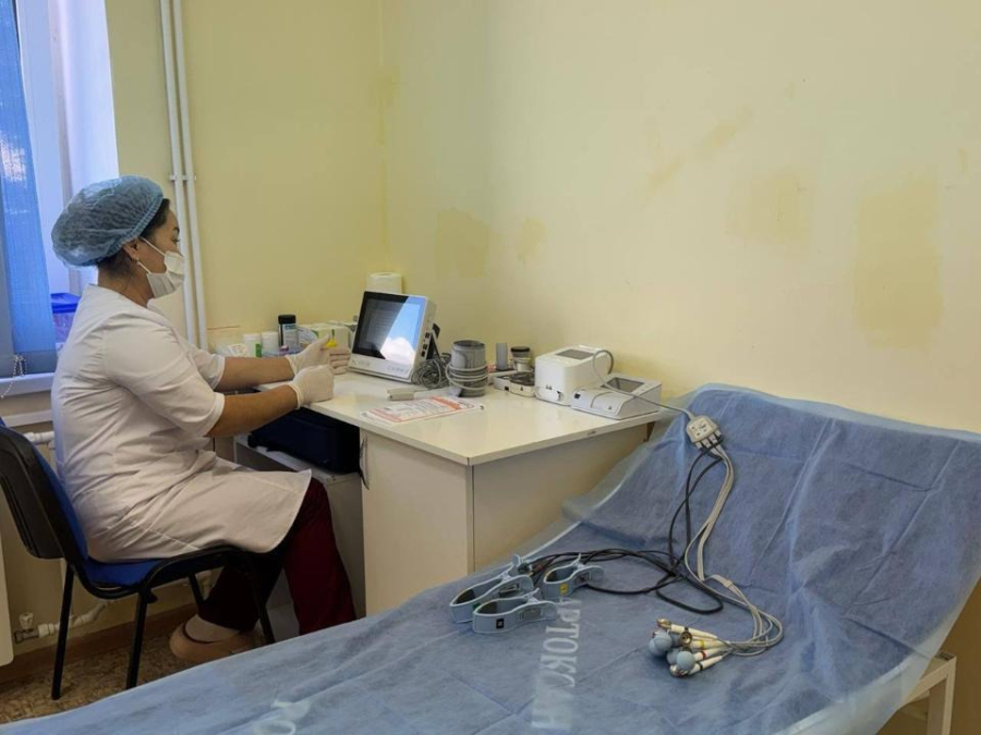 Онлайн медицина как ответ на дефицит врачей в сельских регионах