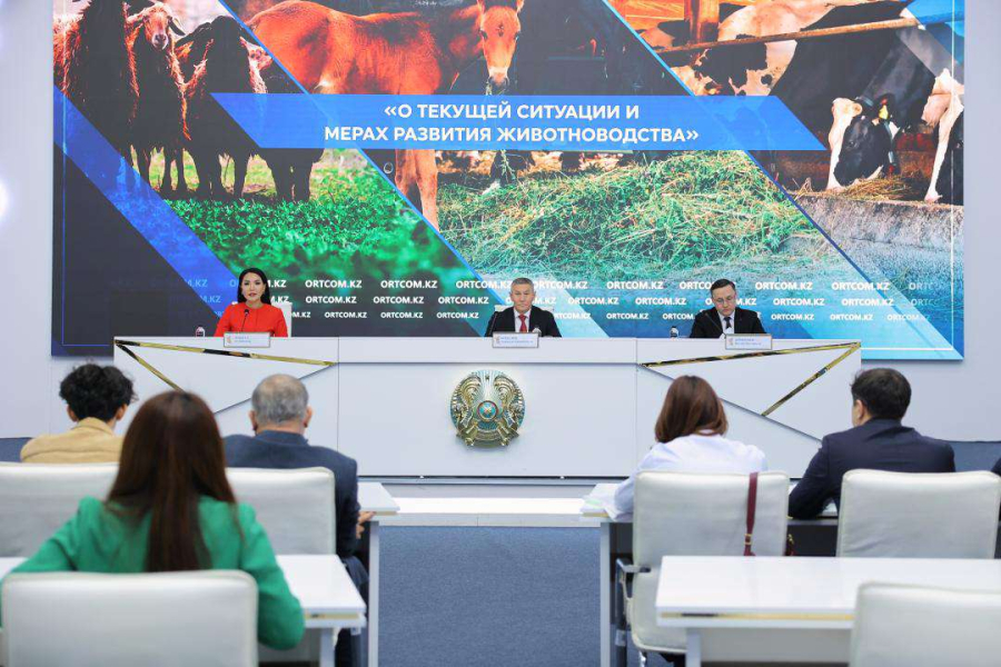 Казахстан нарастил объем валовой продукции животноводства до 3 трлн тенге