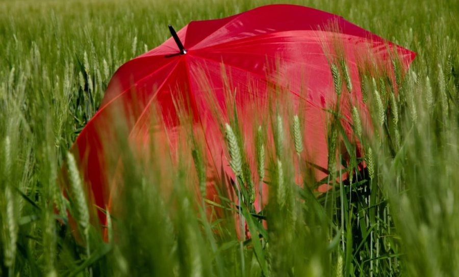 Сильная жара и шквальный ветер: прогноз погоды на 28 июля