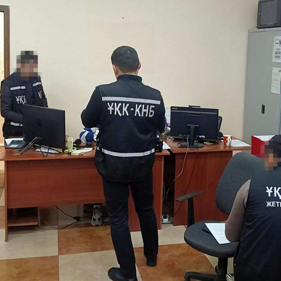 Двух человек осудили в Жетісу за незаконный доступ к Damumed