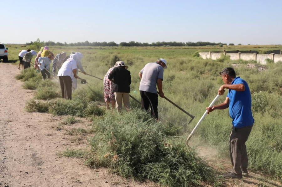 &quot;Таза Қазақстан&quot;: 3200 человек приняли участие в экологической акции в Мактаарале