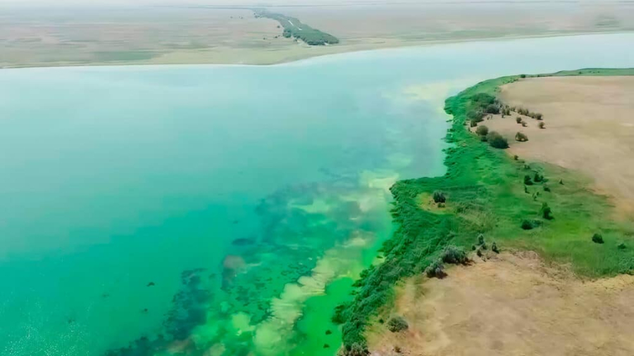 Брат командира пропавшего в Казахстане вертолета дал первое интервью