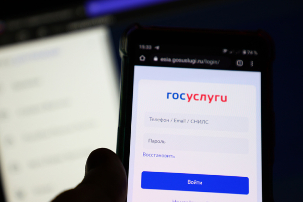 Важная функция может появиться на &laquo;Госуслугах&raquo;
