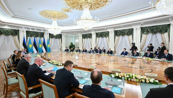 Токаев и Карис провели переговоры в расширенном составе