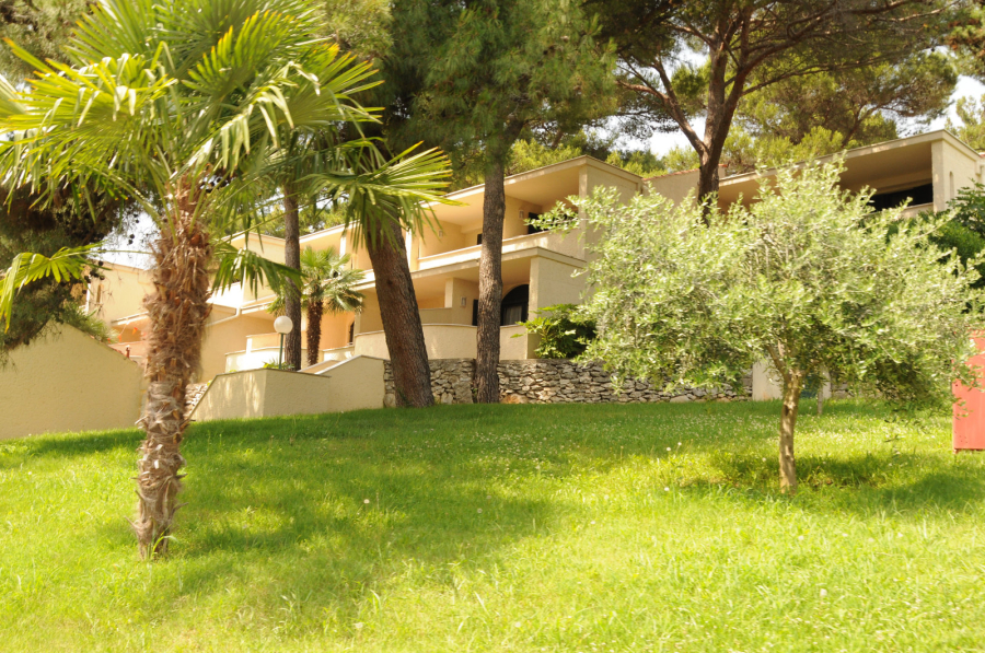 Россиянка на Бали покрылась сыпью после контакта с гусеницей