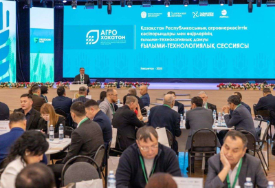 Нужно решать реальные производственные задачи