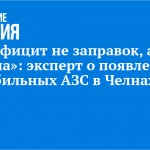 «Дефицит не заправок, а бензина»: эксперт о появлении мобильных АЗС в Челнах