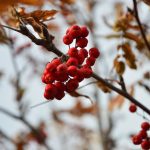 Пятница в Челнах будет теплой и солнечной