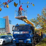 Сентябрь — самое время: Челны начали украшать к Новому году