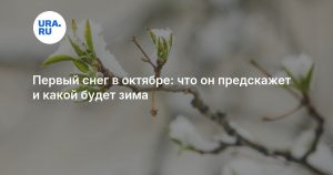 Первый снег в октябре: что он предскажет и какой будет зима