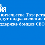 В Правительстве Татарстана создадут подразделение по поддержке бойцов СВО
