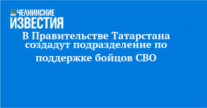 В Правительстве Татарстана создадут подразделение по поддержке бойцов СВО