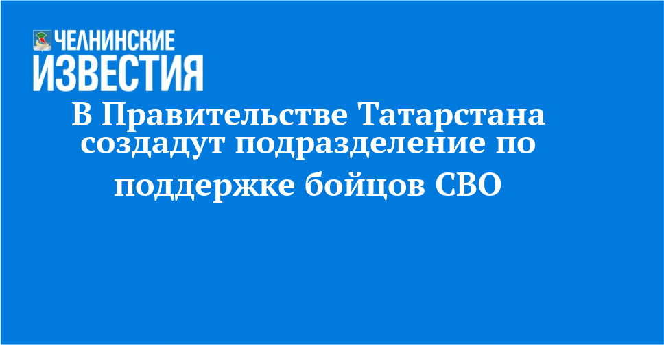 В Правительстве Татарстана создадут подразделение по поддержке бойцов СВО