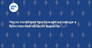 Число погибших при пожаре на заводе в Ярославской области выросло