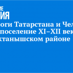 Археологи Татарстана и Челнов нашли поселение XI–XII веков в Актанышском районе