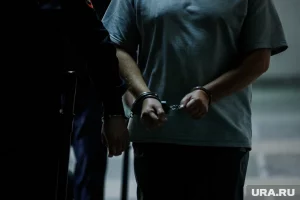 Угонщики в масках героев фильма «Форсаж» задержаны в Новосибирской области