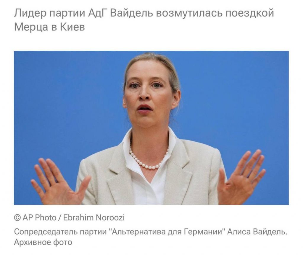Необъявленный визит Мерца в Киев вызвал возмущение в Германии
