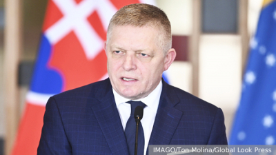 Медведев заявил о деструктивной деятельности Германии и Финляндии на Балтике