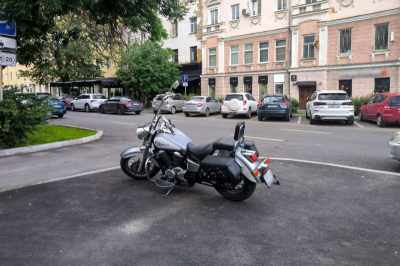 Мотоциклист и пассажирка погибли, врезавшись в лося на трассе под Выборгом